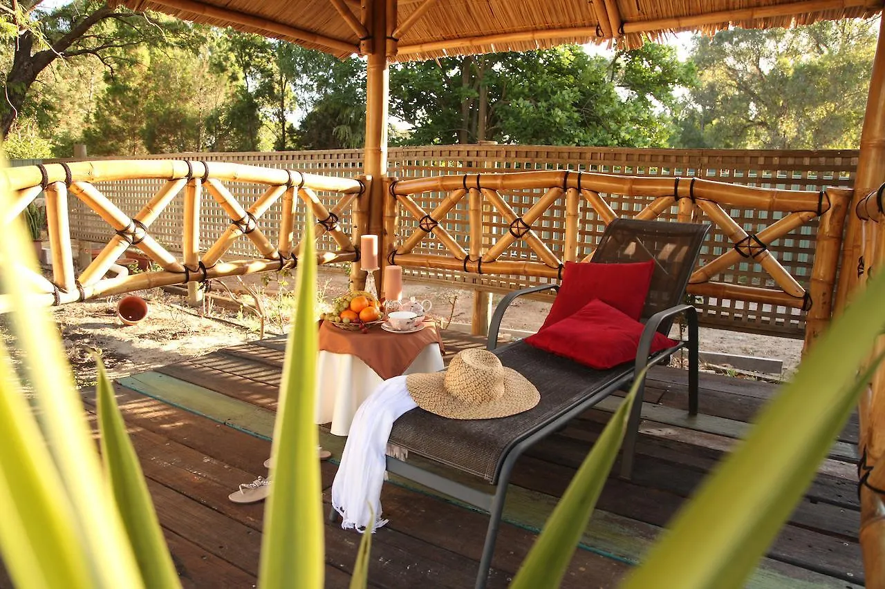 Rothwood Homestays Perth Bed & Breakfast