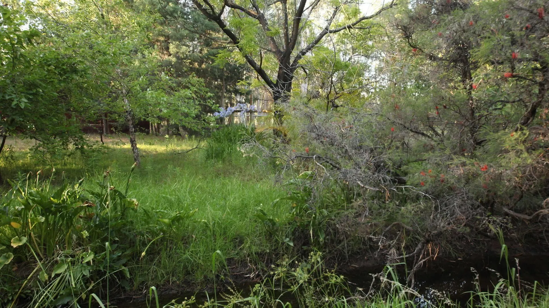 Rothwood Homestays Perth